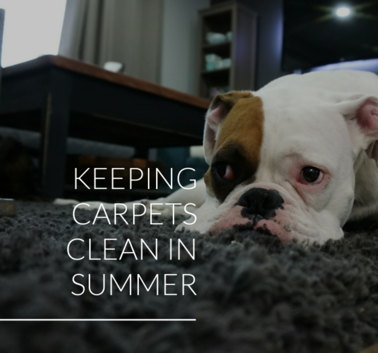 carpets clean in summer