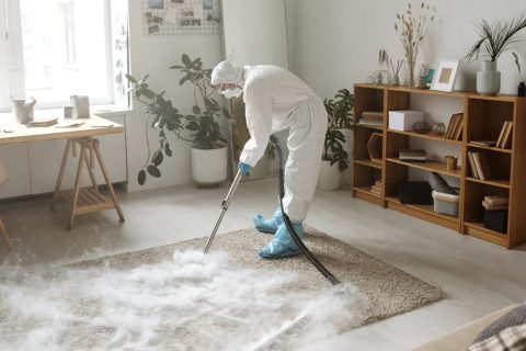 office carpet cleaning service