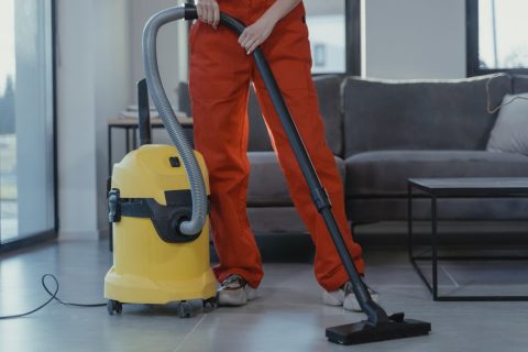 top rated carpet cleaners near me