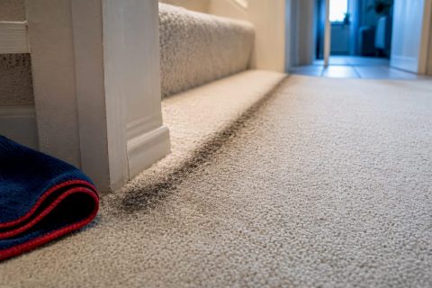 Dark carpet filtration line beside baseboard